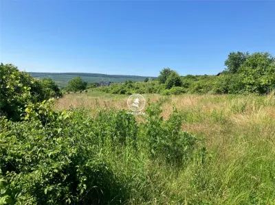 Teren de vanzare Tomesti - foto 2