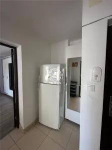 Apartament 2 camere de inchiriat, semidecomandat, etaj intermediar - Podu Ros - foto 10