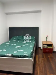 Apartament 2 camere in centrul-Sf Lazar - Iasi