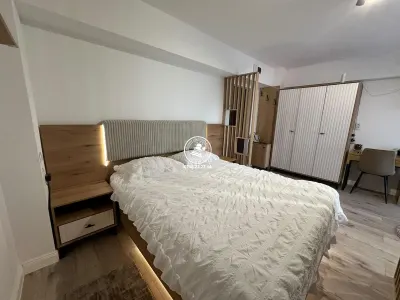 Studio premium de inchiriat - Centru - Palas - foto 2