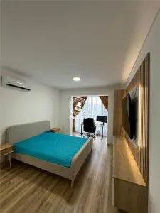 Apartament 1 camera de inchiriat, decomandat -  Valea Lupului / Rond Mall Moldova - foto 2