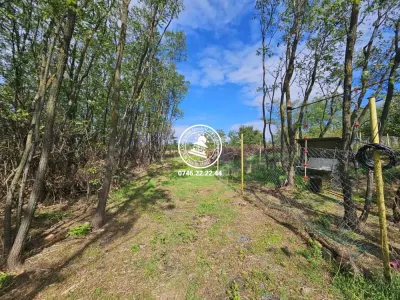 Teren intravilan 904 mp, langa padure - Aroneanu , Iasi - foto 5