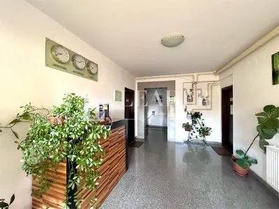 Spatiu Parter | Titulescu - Al. Ioan Cuza - foto 9