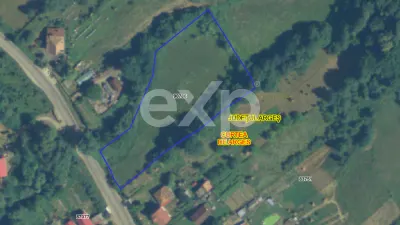 Teren intravilan 5.000 mp de vânzare – Curtea de Argeș, Capul Dealului - foto 2