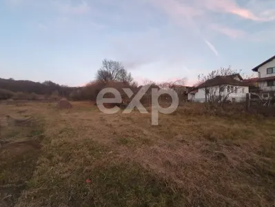 Teren intravilan 5.000 mp de vânzare – Curtea de Argeș, Capul Dealului - foto 3