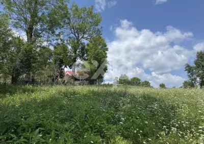 Teren Arefu – lângă Cetatea Poenari și Transfăgărășan - foto 4