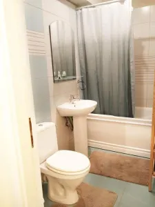 Apartament 2 camere - semidecomandat - 10 minute de Kaufland Tătărași - 400€ - foto 5