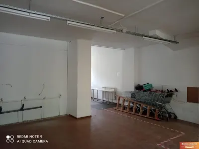 FAR ,Bd. 1 Mai vechi, spatiu comercial 150 mp, cu vitrina stradala si rampa - foto 10