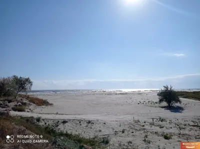 CAP MIDIA ,teren intravilan cu PUZ,5.000 mp,langa mare! - Navodari