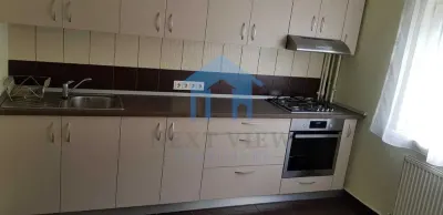 Apartament 2 camere, Plopilor - foto 3