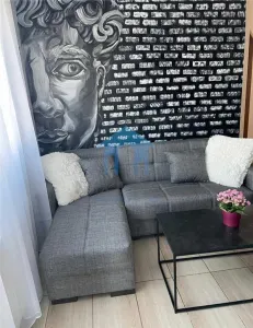 Apartament 2 camere, Andrei Muresanu - Cluj-Napoca