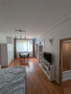 Apartament 1 camera, Piata Karl Liebknecht - Cluj-Napoca