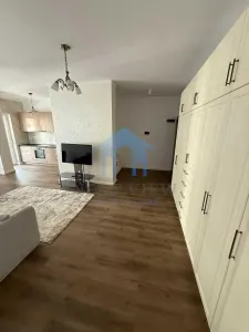 Apartament 2 camere, Terapia - foto 6
