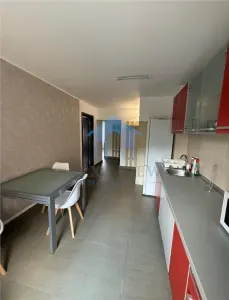 Apartament 2 camere, Marasti - foto 7