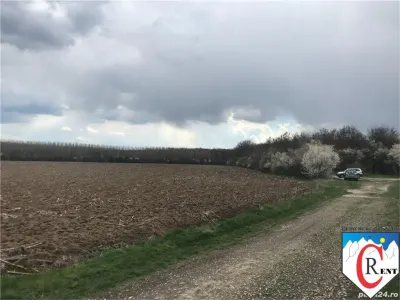 Teren 7000 mp in Ciolpani, 20 euro mp - Ciolpani