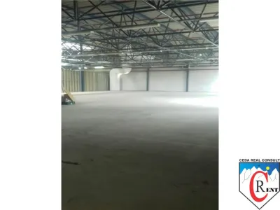 Avem 2 hale in Pipera de 600 si 1100m - foto 14