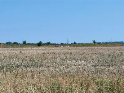 Teren ideal hale 12000mp - foto 2