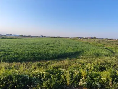 Teren intravilan inTunari 15800 mp - Bucuresti