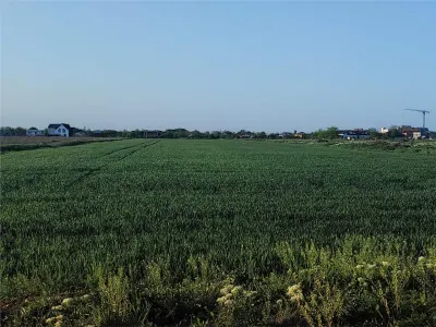 Teren intravilan inTunari 15800 mp - foto 5