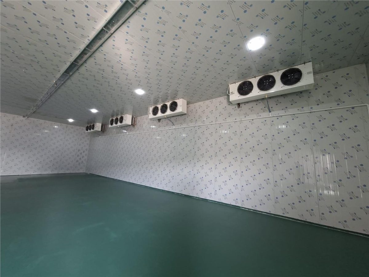 Hala  200 mp cu refrigerare, temperatura -10 gr + 10 gr - Afumati