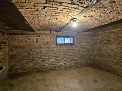 Casa cu 900 mp teren zona Calea Poplacii aproape de Parcul Sub Arini - foto 12