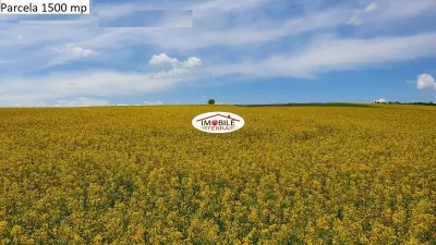 Teren agricol de vanzare in Hamba Sibiu, 4 parcele - Hamba