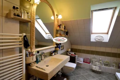 Vila in Sibiu, 6 camere, 280mp utili,  720 mp teren - foto 11