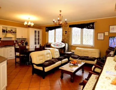 Vila in Sibiu, 6 camere, 280mp utili,  720 mp teren - foto 3