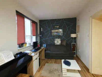 Casa cu 3 apartamente si 600 mp teren zona Lupeni - foto 5