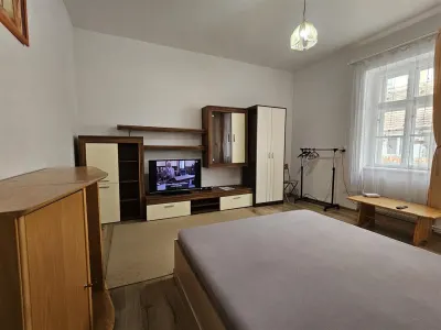 Garsoniera de inchiriat in Sibiu langa Piata Cibin - foto 3
