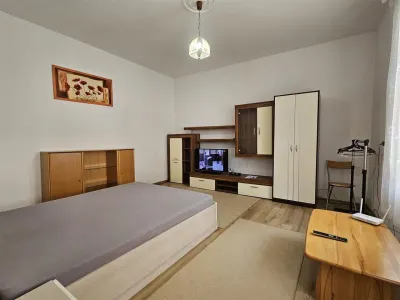 Garsoniera de inchiriat in Sibiu langa Piata Cibin - foto 6