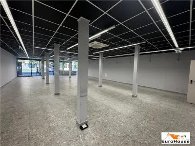 Spatiu de inchiriat in Alba Iulia Cetate - foto 2