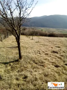 OPORTUNITATE! TEREN EXTRAVILAN ZONA SARD - AMPOITA - foto 2