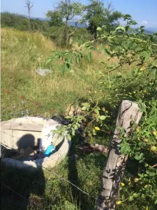 Teren de 43.000 mp in Budești - foto 2