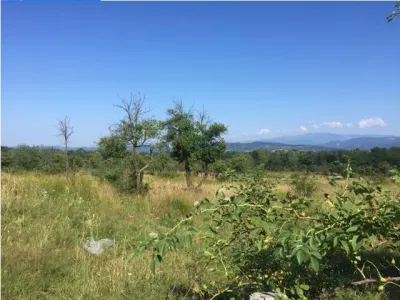 Teren de 43.000 mp in Budești - foto 3