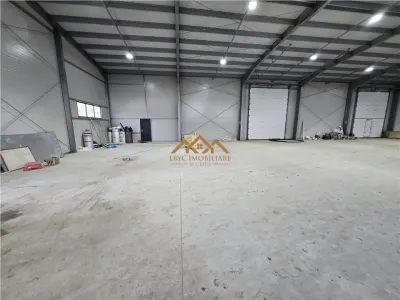De inchiriat | Hala Depozitare | Productie - foto 3
