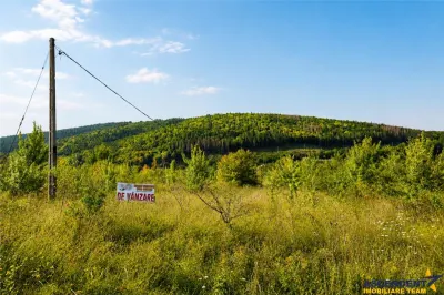 450mp intravilan, cu vedere spre lac, Moacsa, Covasna - foto 5