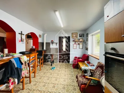 Casa primitoare de vanzare in Iratosu /120mp+teren 1400mp - foto 6