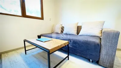 Cabana de inchiriat in Apuseni, Ciubar, Fara vecini, Foisor, Atv - foto 17