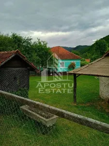 Casa batraneasca de vanzare, 4 camere, in Hunedoara, sat Micanesti - foto 13