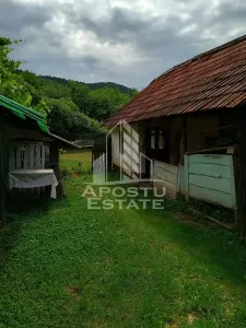 Casa batraneasca de vanzare, 4 camere, in Hunedoara, sat Micanesti - foto 14