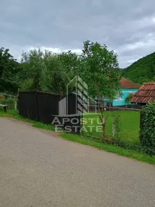 Casa batraneasca de vanzare, 4 camere, in Hunedoara, sat Micanesti - foto 15