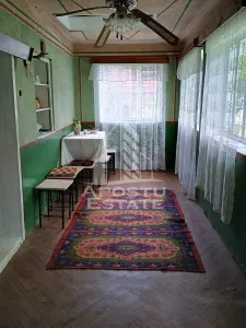 Casa batraneasca de vanzare, 4 camere, in Hunedoara, sat Micanesti - foto 16