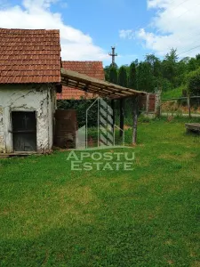 Casa batraneasca de vanzare, 4 camere, in Hunedoara, sat Micanesti - foto 21