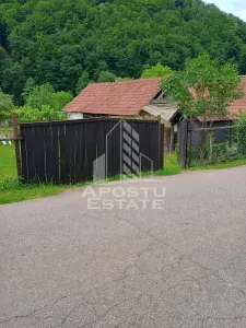 Casa batraneasca de vanzare, 4 camere, in Hunedoara, sat Micanesti - foto 22