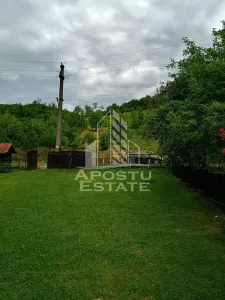 Casa batraneasca de vanzare, 4 camere, in Hunedoara, sat Micanesti - foto 4