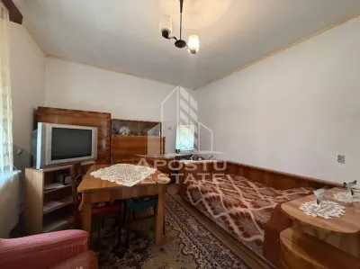 Casa individuala de vanzare, acces auto, zona Iosefin - Gara Timisoara - foto 10