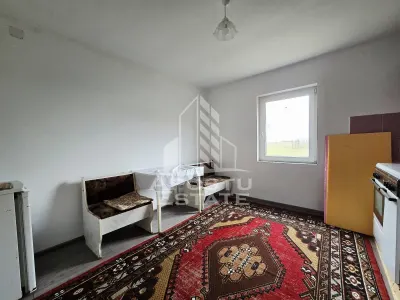 Casa individuala de vanzare, P+M, Dudestii Noi - foto 3
