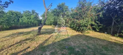 Casa individuala de vanzare cu teren de 2000 mp, Fratelia, Timisoara - foto 4