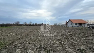 Teren Intravilan Dragsina 2200 Mp Comizion ZERO % - Dragsina